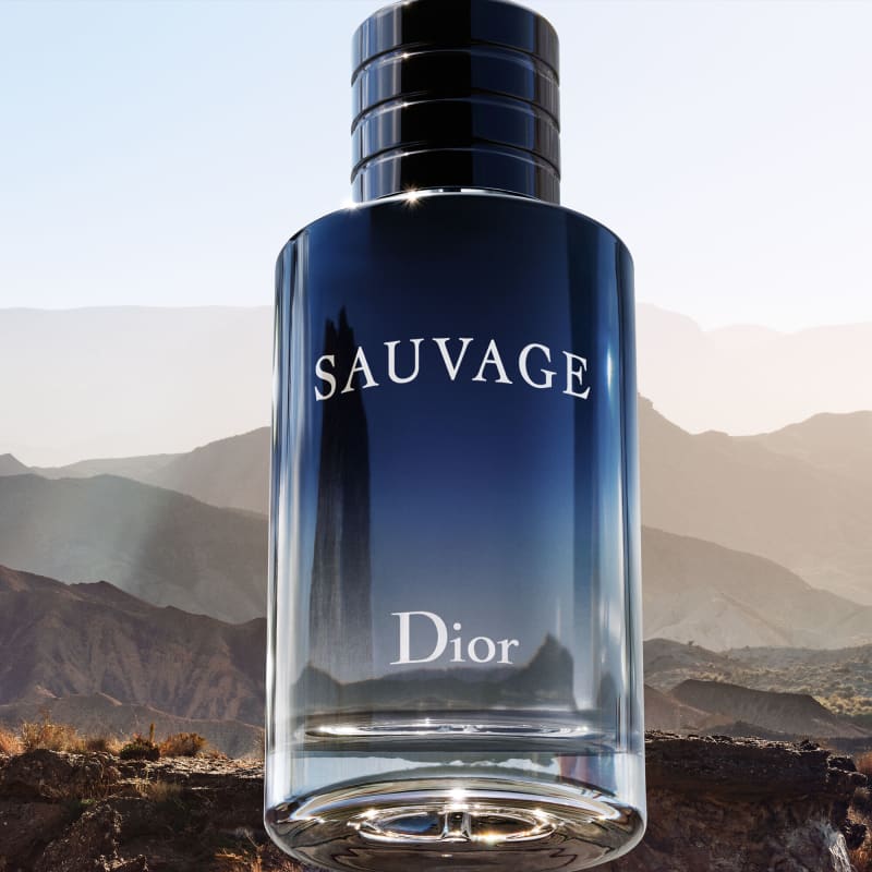 Sauvage Dior Eau de Toilette - Perfume Masculino 100ml