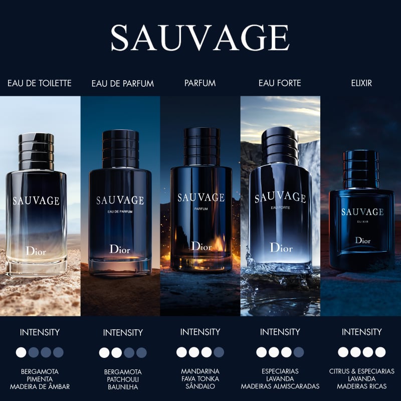 Sauvage Dior Eau de Toilette - Perfume Masculino 100ml