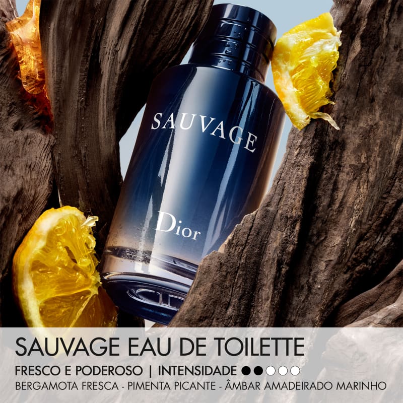 Sauvage Dior Eau de Toilette - Perfume Masculino 100ml